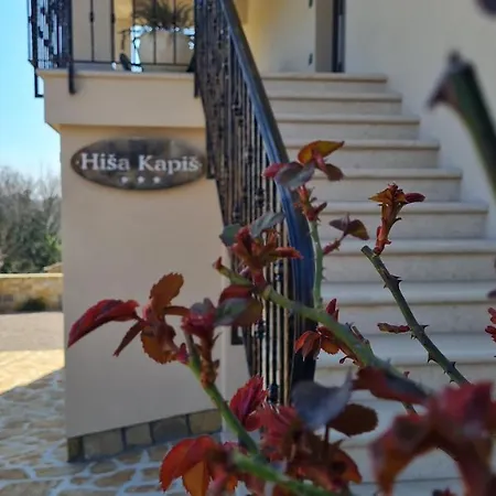 Hisa Kapis With Hot Tube דירה